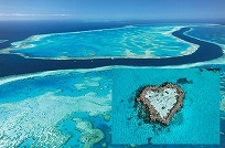 【ケアンズ発】1泊2日(各都市発着国内線航空券つき)ハミルトン島フリーパッケージ・パーム・バンガロウ