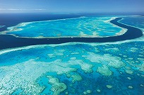 【シドニー発】1泊2日(各都市発着国内線航空券つき)ハミルトン島フリーパッケージ・パーム・バンガロウ