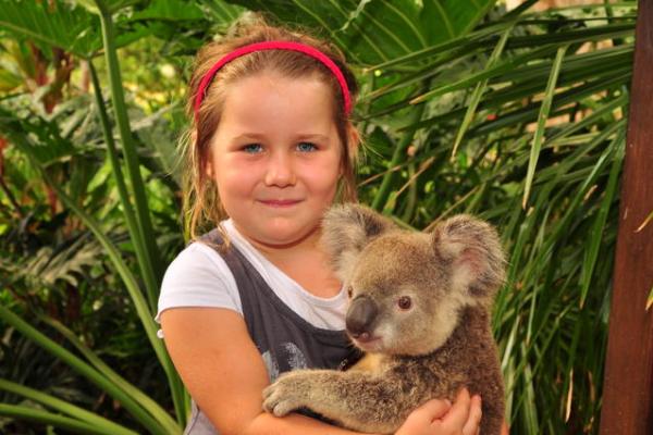 コアラを抱っこ