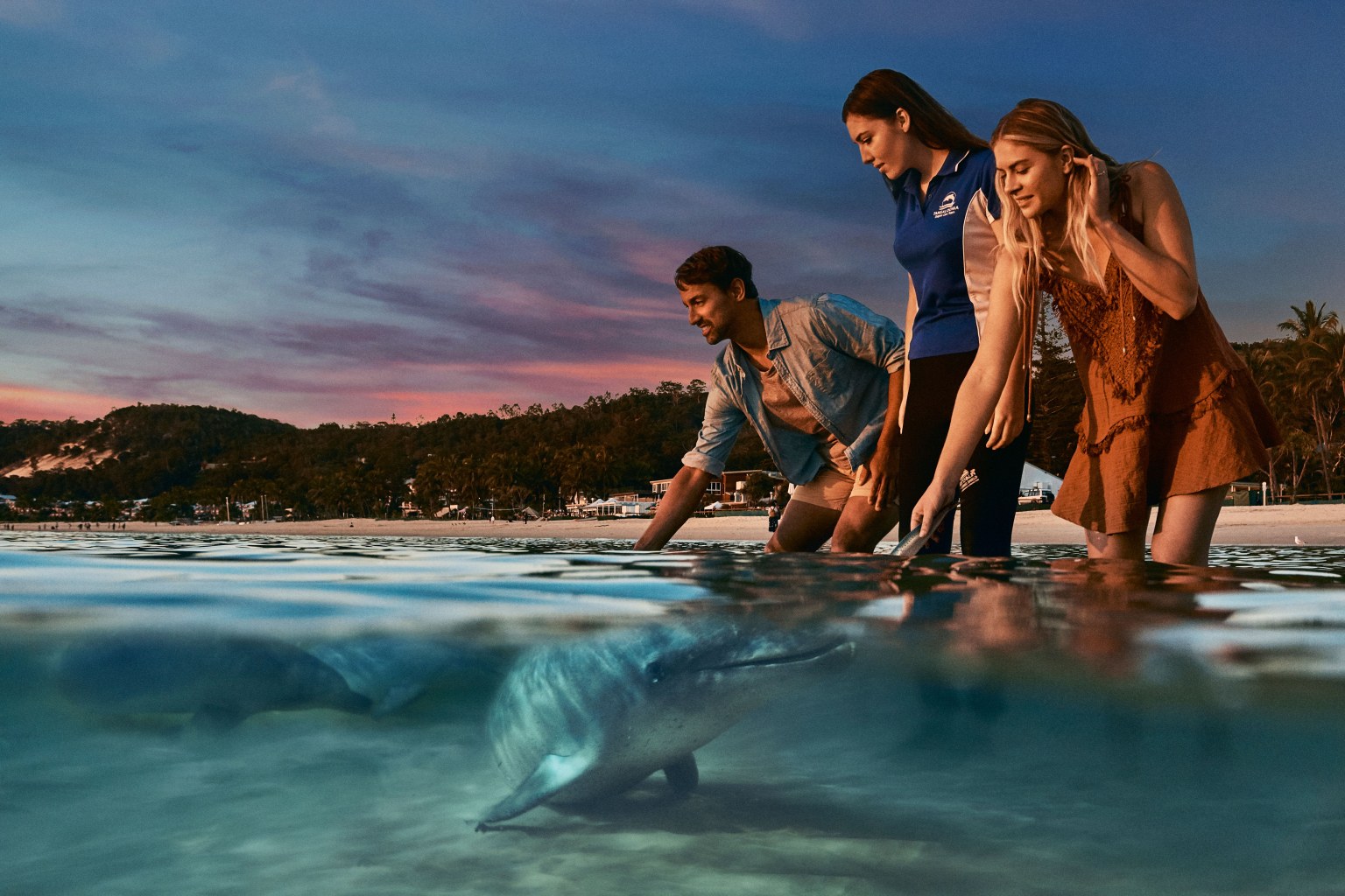 モートン島タンガルーマ１日ツアー / 沈没船シュノーケリングツアー【英語ツアー】