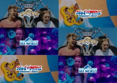 3日間3つのテーマパーク パス+無料1日フェリーパス付