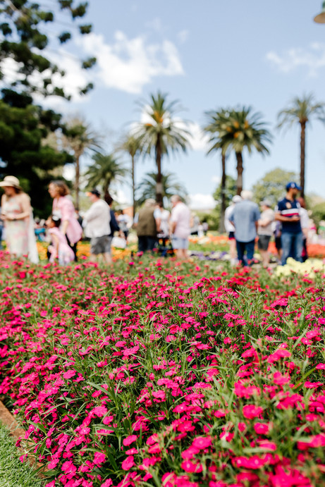 ©Tourism and Events Queensland