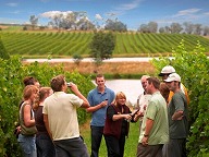 【AUSTRALIAN WINETOURS】ワインエキスパートと行くワイナリーツアー