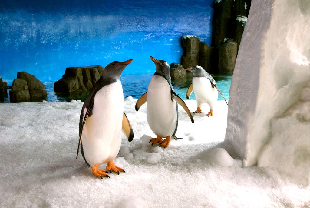 メルボルン水族館