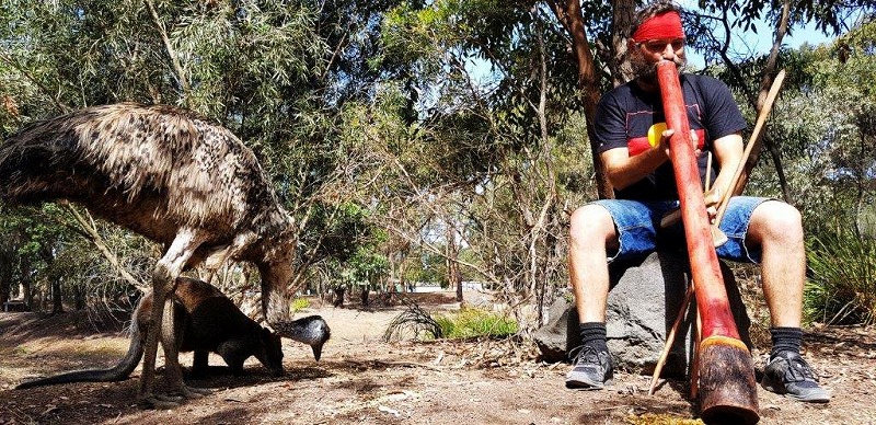 【Explore Australia】ローカルに人気のべラリン半島観光と先住民アボリジニの世界を体感