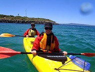 【BUNYIP TOURS】モーニントン半島・シュノーケリングツアー