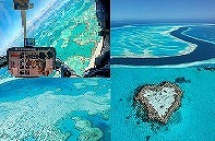 【メルボルン発】1泊2日(国内線航空券つき)ハミルトン島フリーパッケージ・パーム・バンガロウ