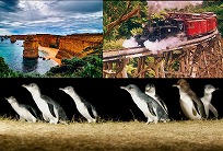 【初夢コアラ割りキャンペーン】【GREAT SIGHTS】グレートオーシャンロード&ペンギンパレード&蒸気機関車