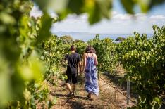 【Explore Australia】べラリン半島とモーニントン半島を巡る、贅沢グルメと観光ツアー