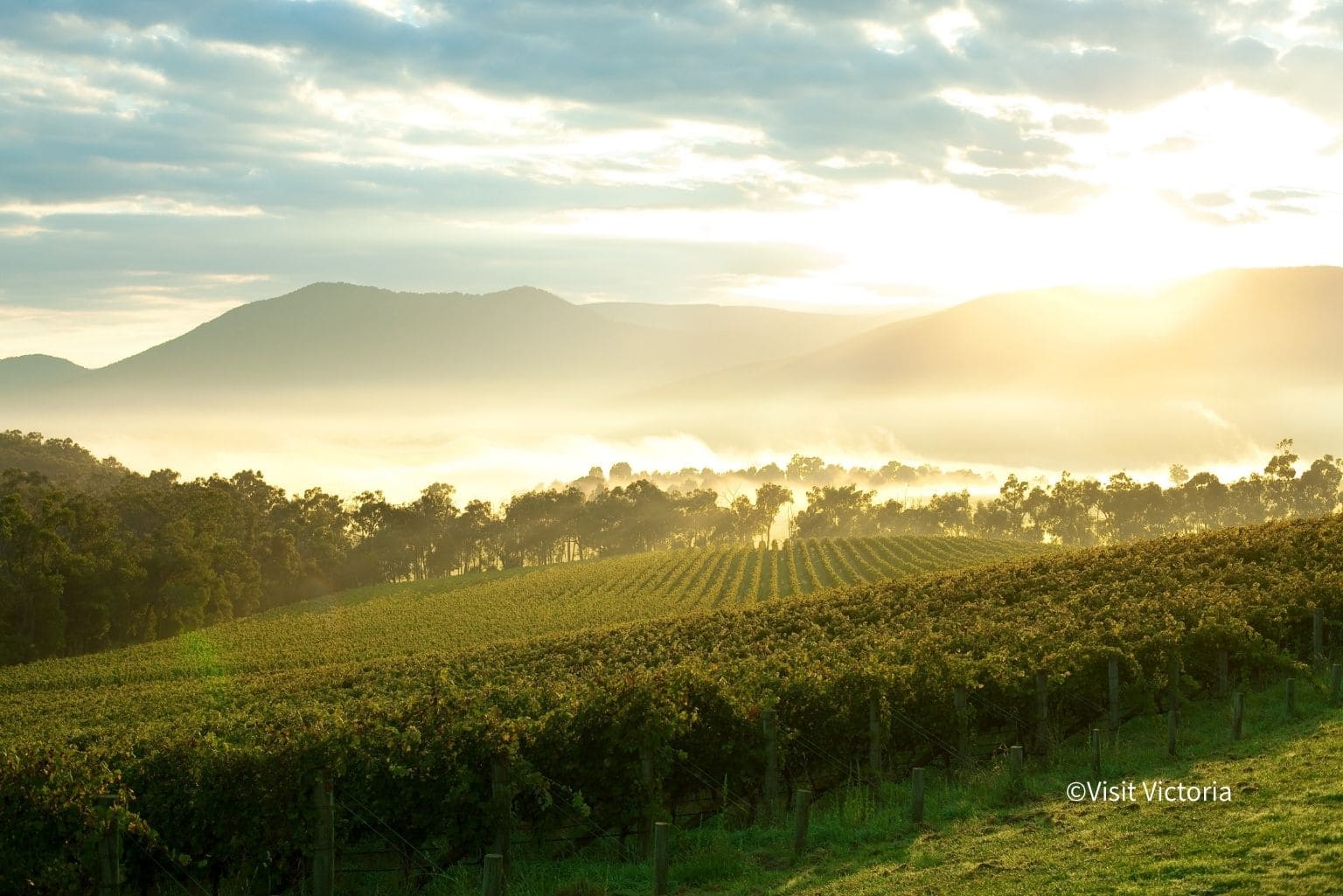 Yarra Valley