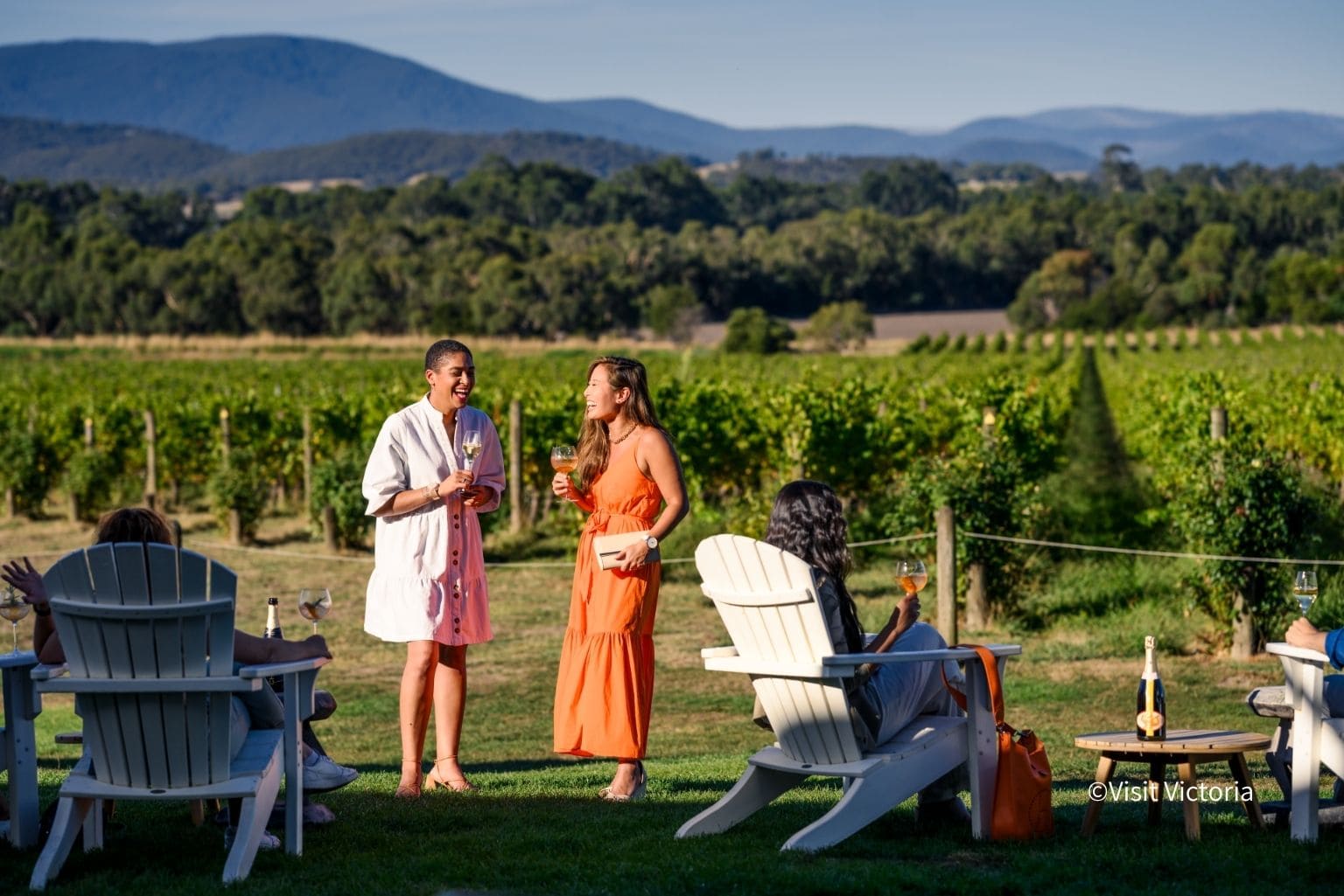 Domain Chandon
