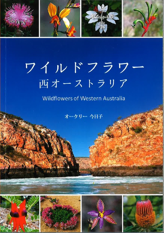 おすすめ 人気お土産 西オーストラリア ワイルドフラワー本 His Oceania