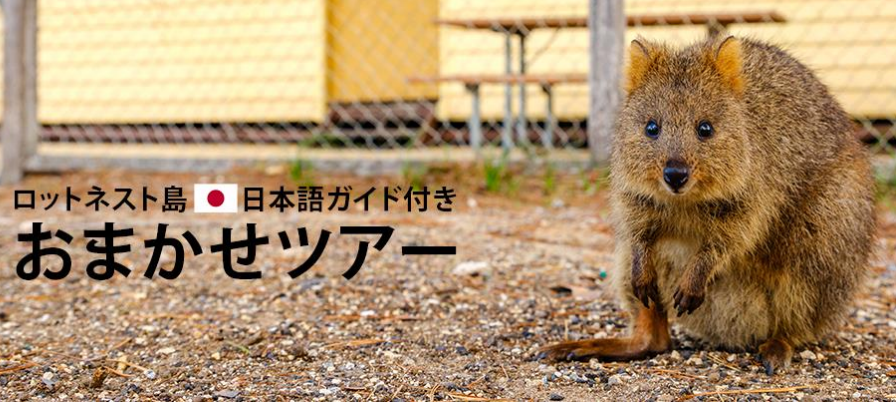 【日本語】ロットネスト島おまかせ 1日ツアー（ヒラリーズ発着）ランチ付き
