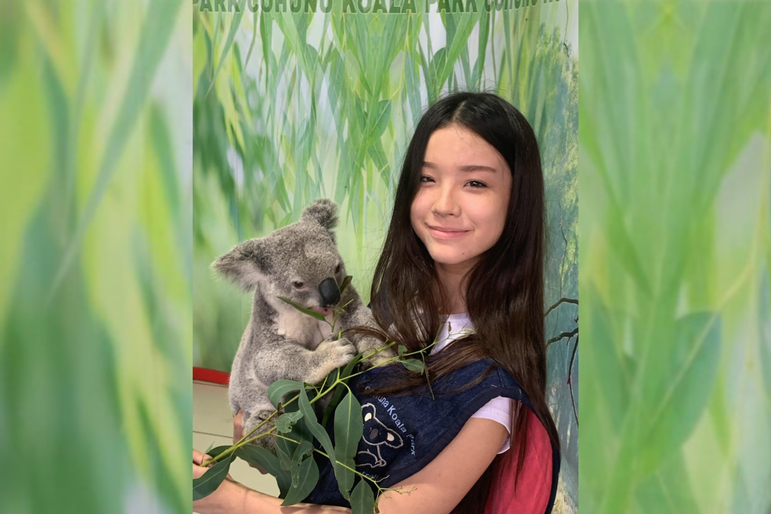 【日本語】コアラ抱っこ★コアラパークツアー