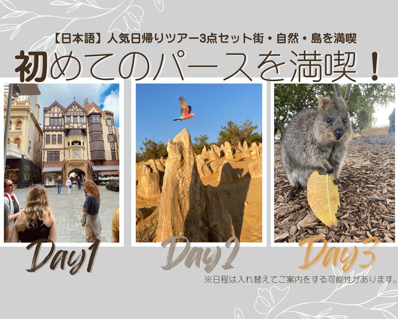 【日本語】初めてのパースを満喫！人気日帰りツアー3点セット街・自然・島を満喫