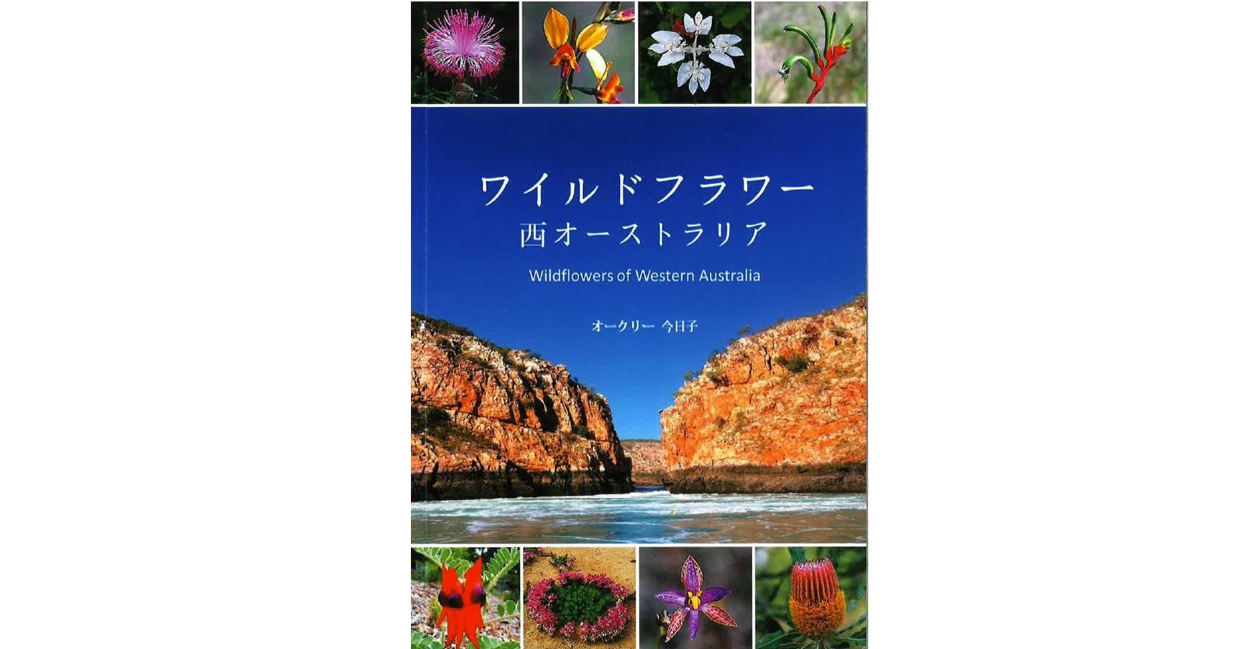 おすすめ！西オーストラリア・ワイルドフラワー本【お土産にどうぞ】