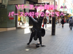 【バーチャル★ツアー★プライベート】 1時間 パース市内 <お好きなスポット1箇所をご案内>