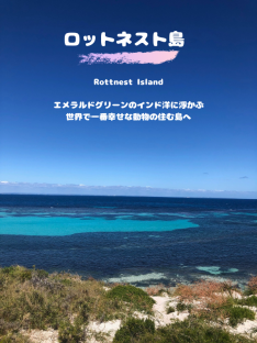 【バーチャル★ツアー】45分ロットネスト島満喫