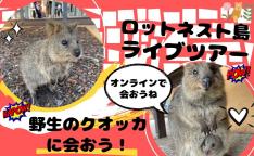 【バーチャル★ツアー】クオッカ・ロットネスト島満喫<催行日決定!8月9日 (月・祝) 日本時間12:30~ 45分>