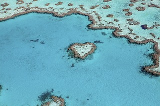 ハミルトン島（QLD州）