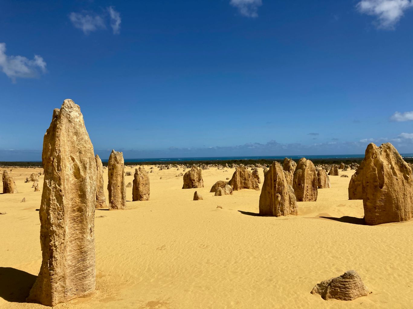 荒野の墓標ピナクルズの群生