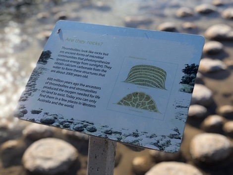 スロンボライトとストラマテライトの形成の違い