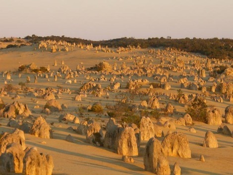 荒野の墓標ピナクルズの群生