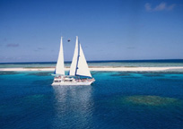 カタマランヨット