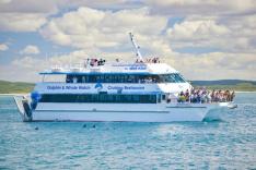 大自然と動物に出会う! ポートスティーブンス日帰りツアー(日本語)