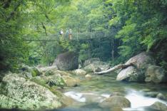 日本語ガイドと行く！世界遺産モスマン渓谷とポ－トダグラスツアー