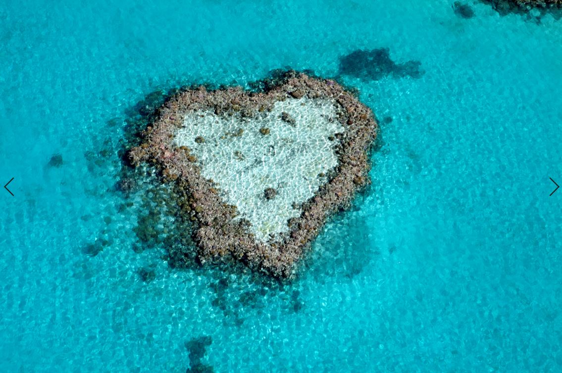 ハートリーフとホワイトヘブンビーチ遊覧飛行 1時間 His Oceania