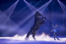 オーストラリアン・アウトバック・スペクタキュラーディナーショー