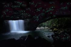 世界遺産 土ボタルツアー（日本語）