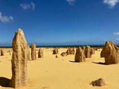 【日本語】おまかせ☆ピナクルズ4WDツアー(フィッシュ&チップスランチ)